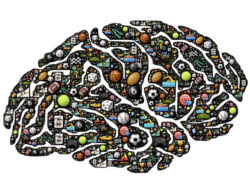 Spielend Lernen - Gehirn voller Spiele