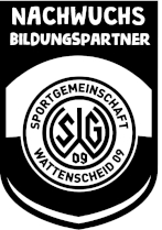 Logo Nachwuchs Bildungspartner SGW